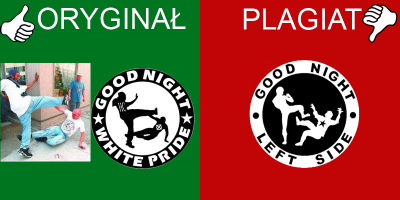 Zdjęcie przedstawia Afroamerykanina atakującego neonazistę. Zdjęcie stało się wzorem loga GNWP.